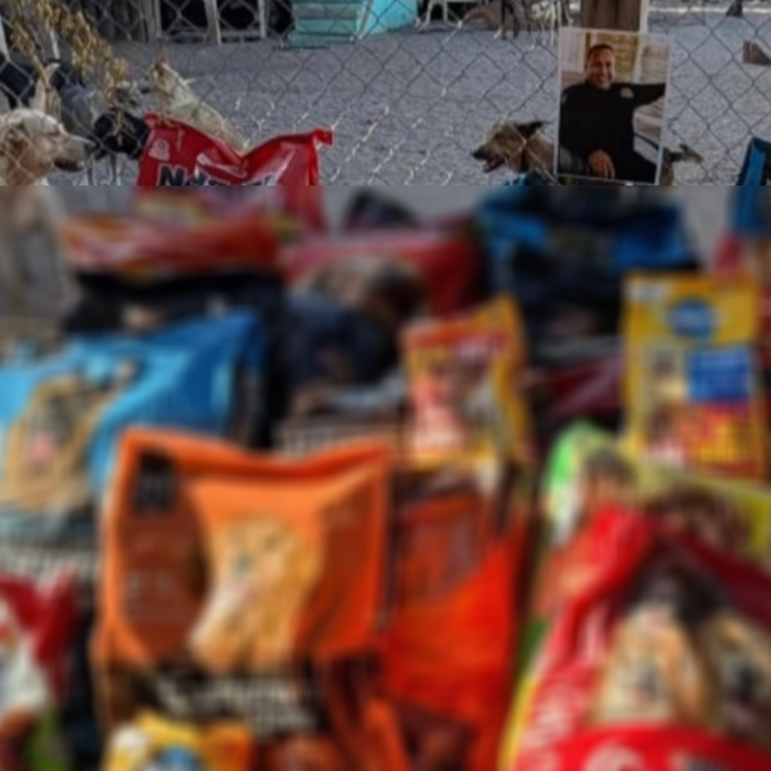 Cumplen Voluntad de Agente Asesinado en Cajeme; Recolectan Más de 1 Tonelada de Croquetas